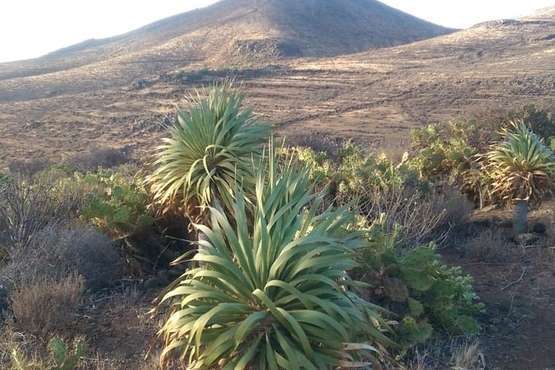  La montaña de Rosiana (1)/TA.